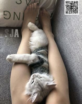 美人心计40集全免费_BD英语免费在线播放
