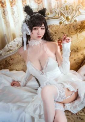 森林进化论2_BD天堂在线